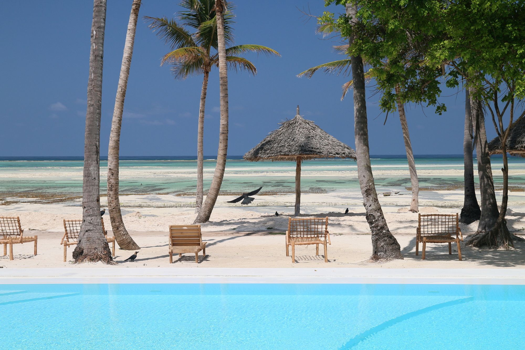 Blue Moon Resort Jambiani  Eksteriør bilde